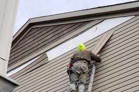 Best Historical Building Siding Restoration  in Mentor, OH